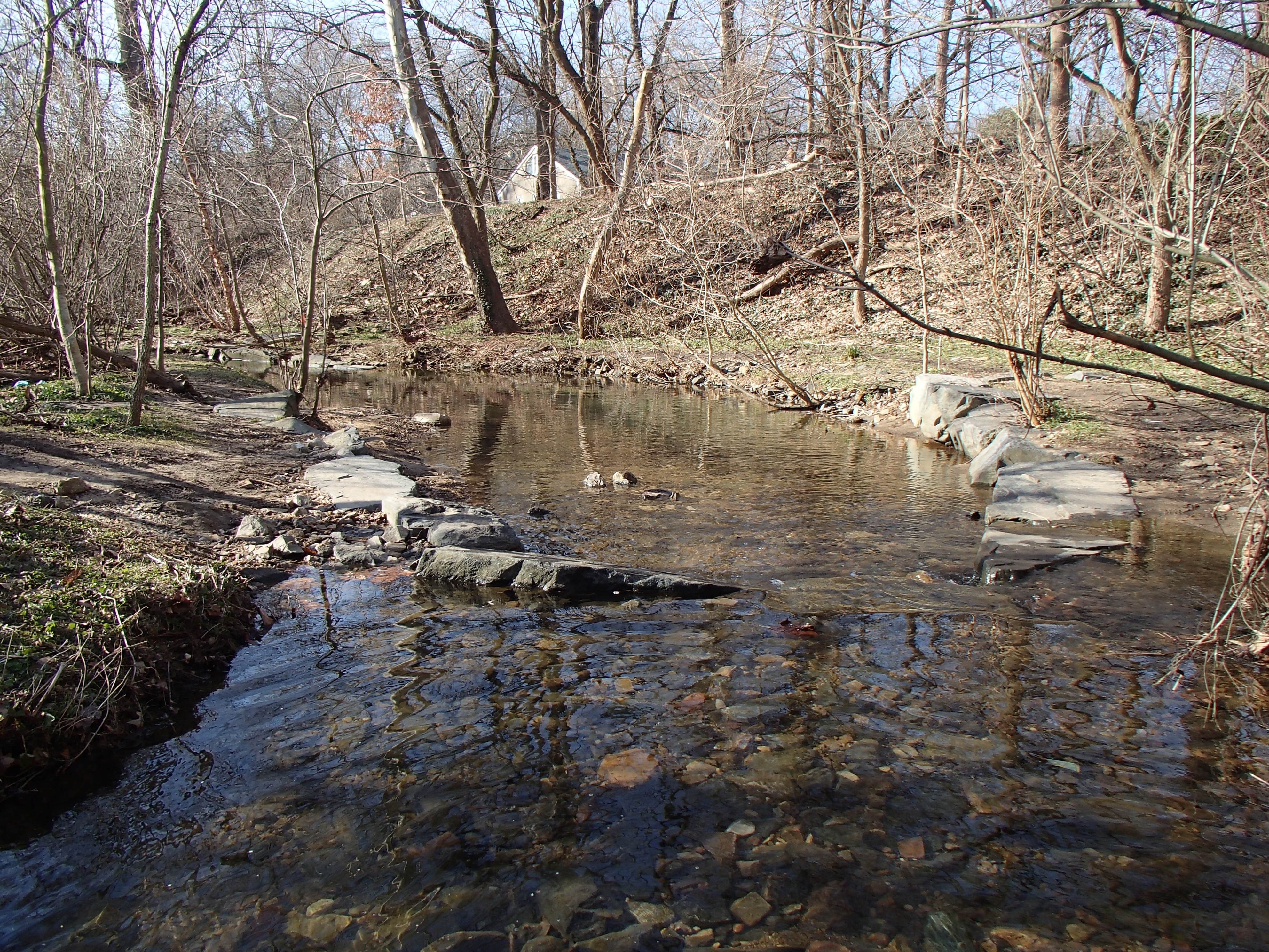 Field photo showing stream conditions at site JONE-102-R-2016_Midpoint downstream